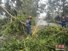 台风“剑鱼”致险情 海南消防紧急处置